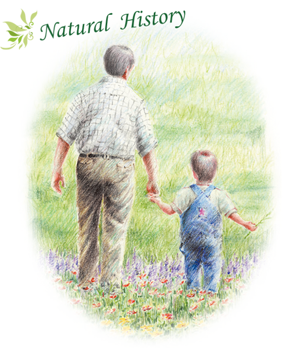 ナチュラルヒストリー